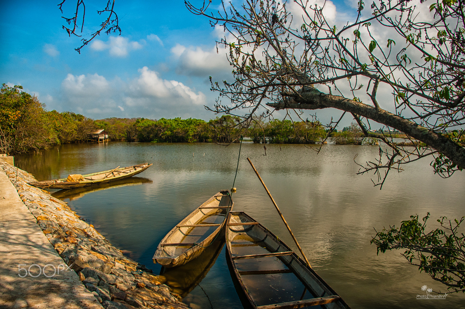 Nikon D300 sample photo. Ru cha mangroves photography