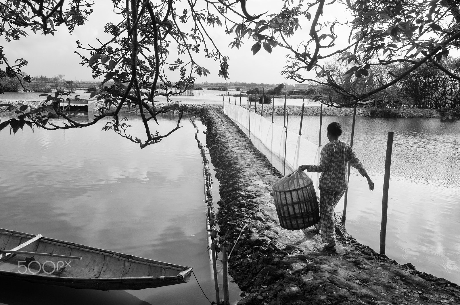 Nikon D300 sample photo. Ru cha mangroves photography