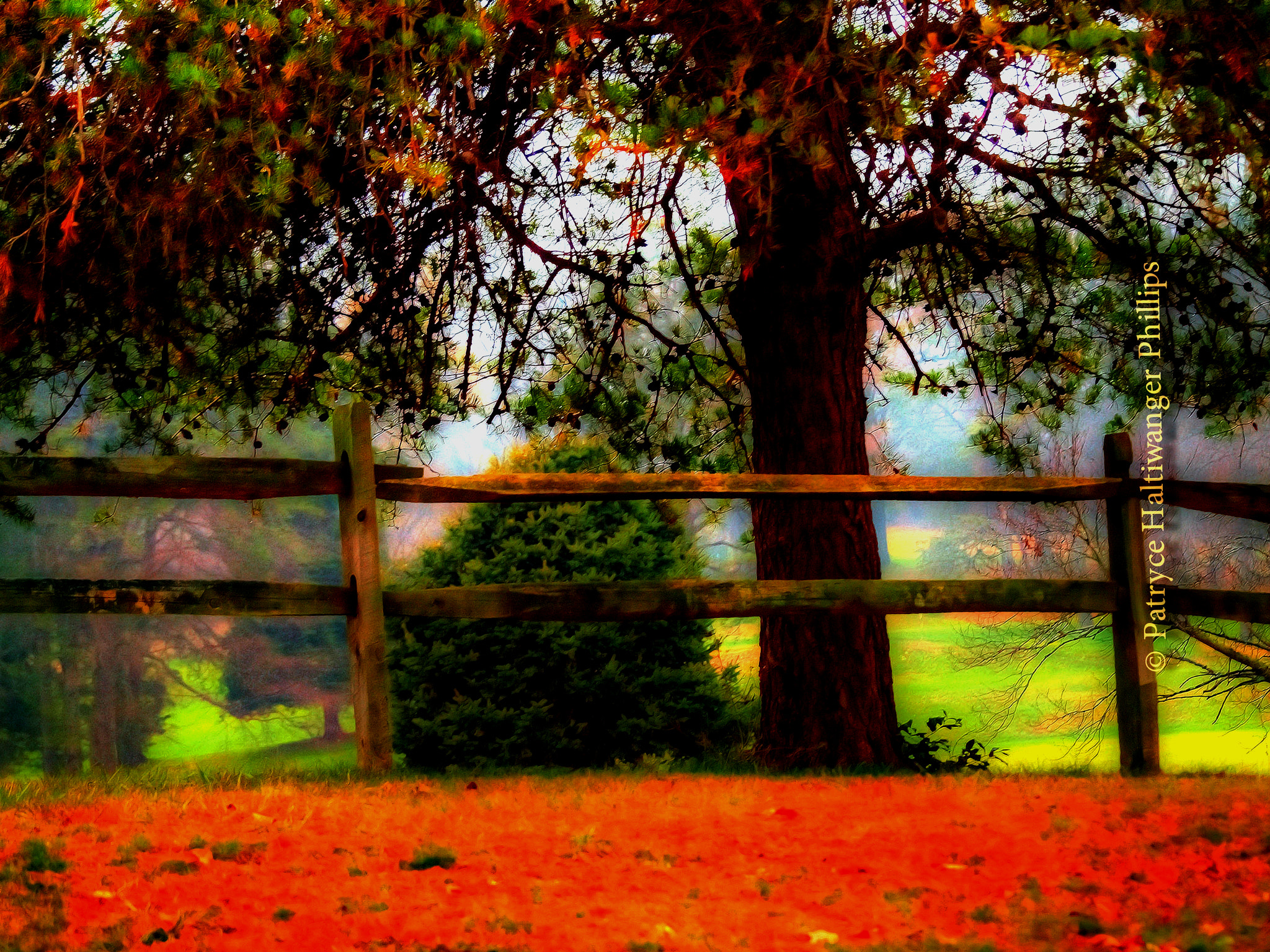 Olympus E-620 (EVOLT E-620) sample photo. Autumn's song photography