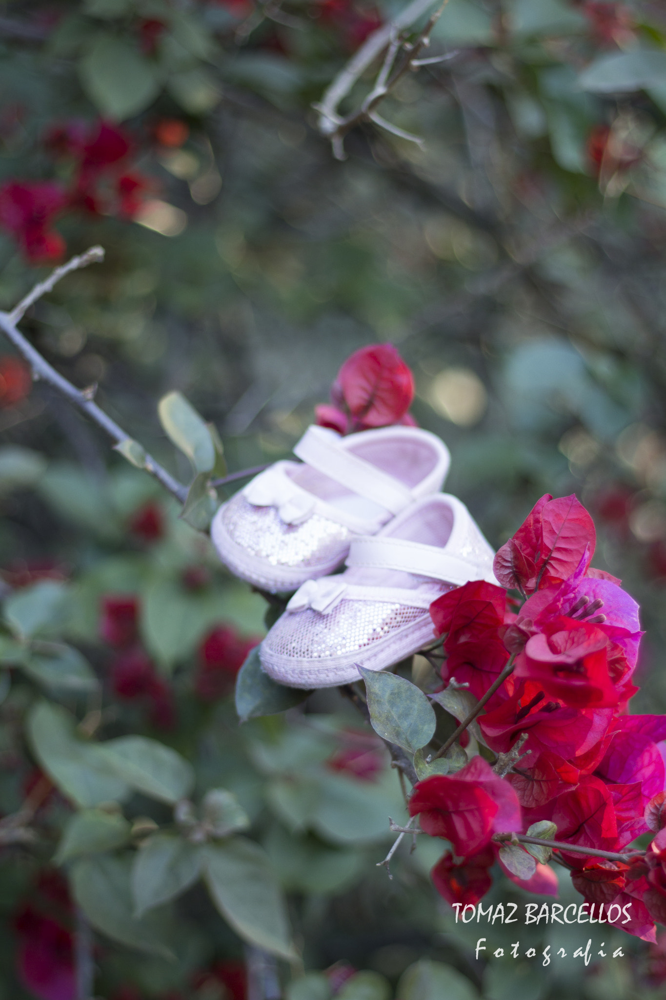 Canon EOS 100D (EOS Rebel SL1 / EOS Kiss X7) sample photo. Ensaio gestante  photography