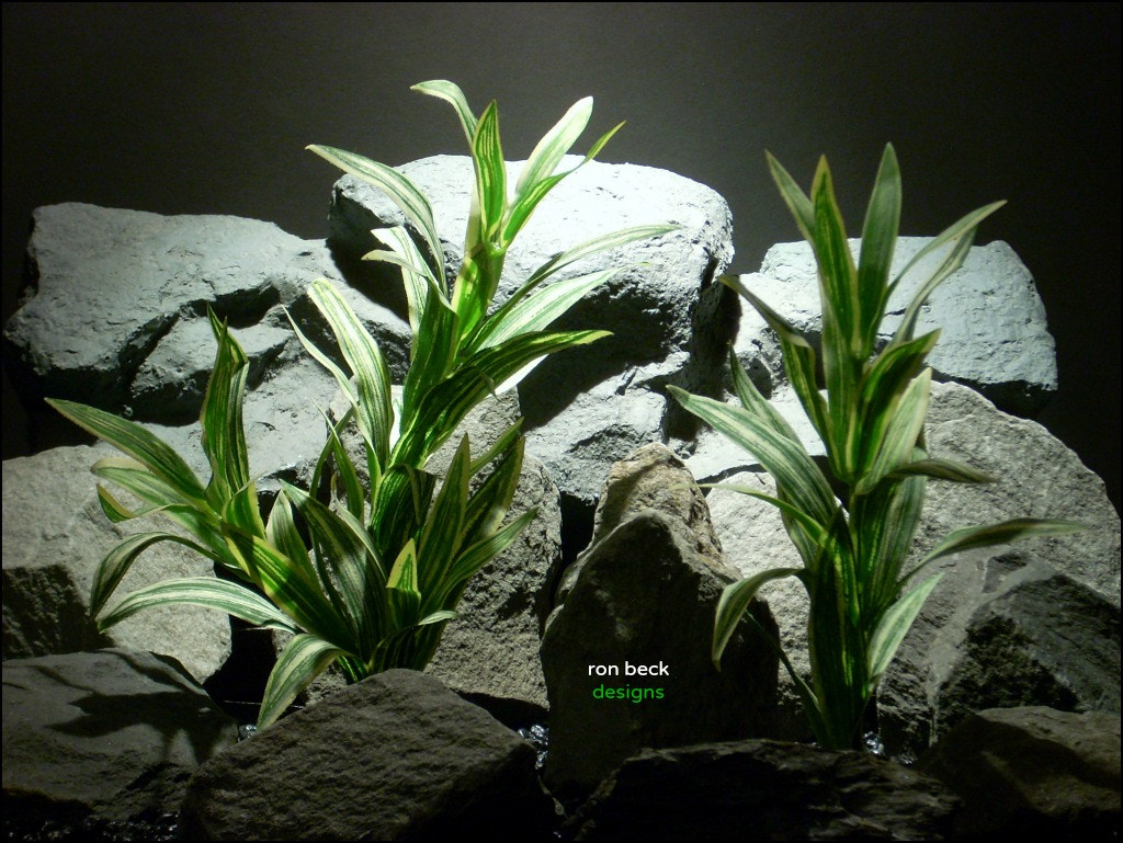 Nikon COOLPIX L11 sample photo. Silk aquarium plants spider bushs ron beck designs photography