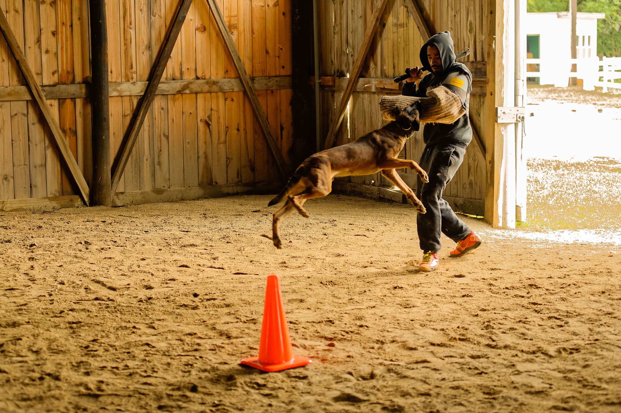 Nikon AF-Nikkor 80-200mm F2.8D ED sample photo. Woodlawn canine academy photography