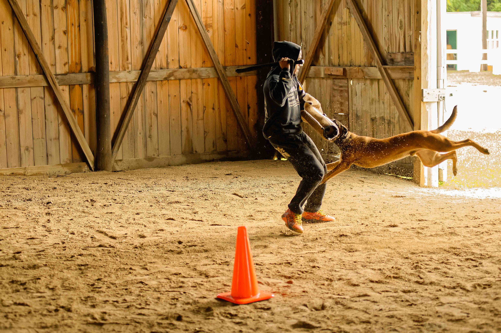 Nikon AF-Nikkor 80-200mm F2.8D ED sample photo. Schutzhund dogs photography