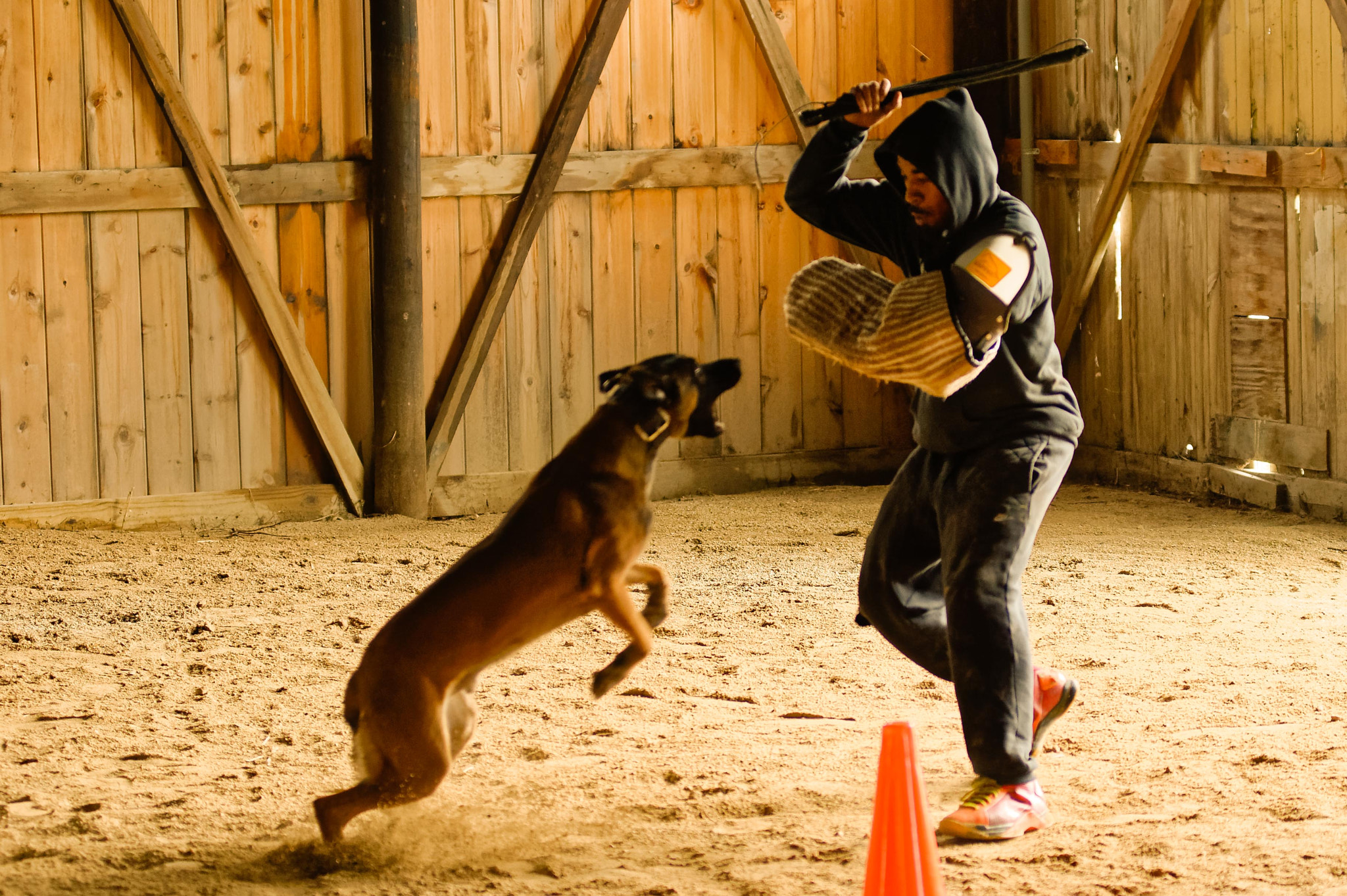 Nikon AF-Nikkor 80-200mm F2.8D ED sample photo. Woodlawn canine academy photography