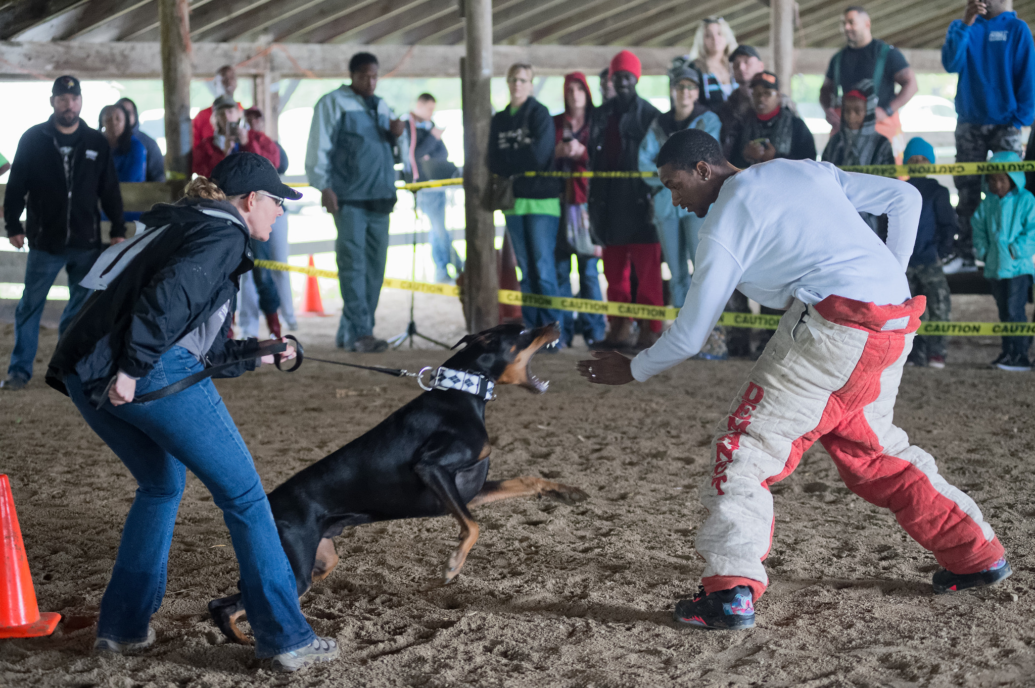 Nikon AF-Nikkor 80-200mm F2.8D ED sample photo. Doberman pincher attacks photography