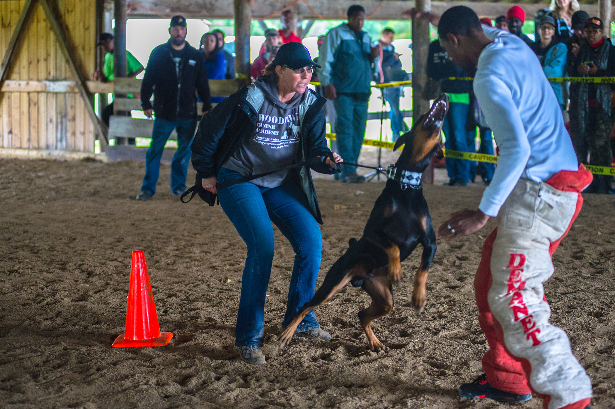 Nikon AF-Nikkor 80-200mm F2.8D ED sample photo. Woodlawn canine academy photography