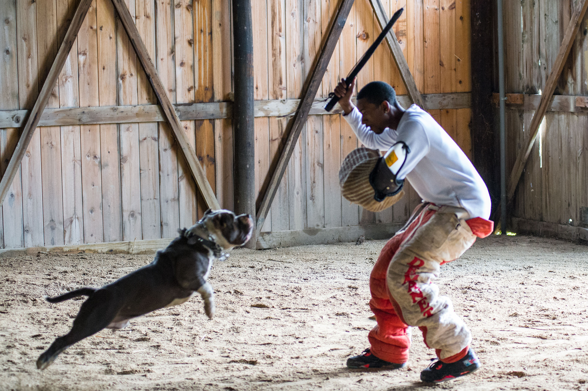Nikon AF-Nikkor 80-200mm F2.8D ED sample photo. Woodlawn canine academy photography