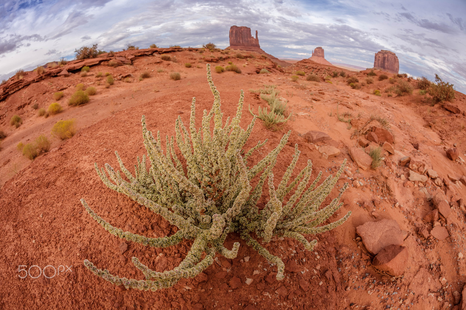 Canon EF 15mm F2.8 Fisheye sample photo. Monument valley photography