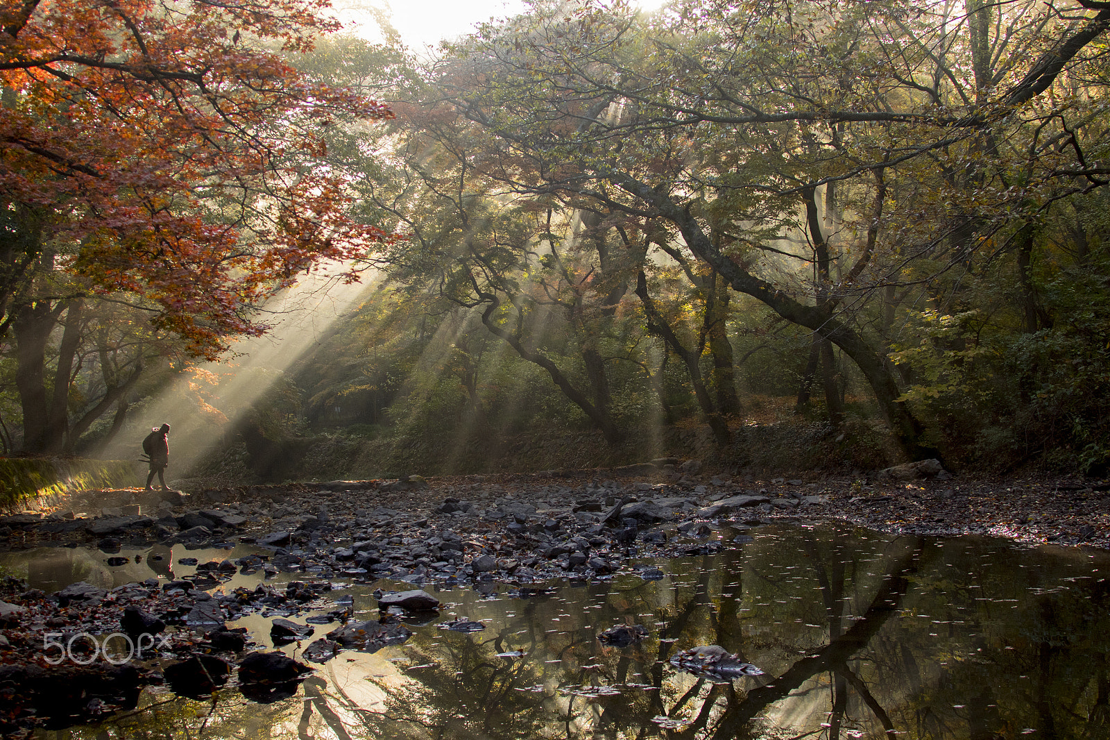 Canon EF 28-300mm F3.5-5.6L IS USM sample photo. 도솔천의 빛내림 photography