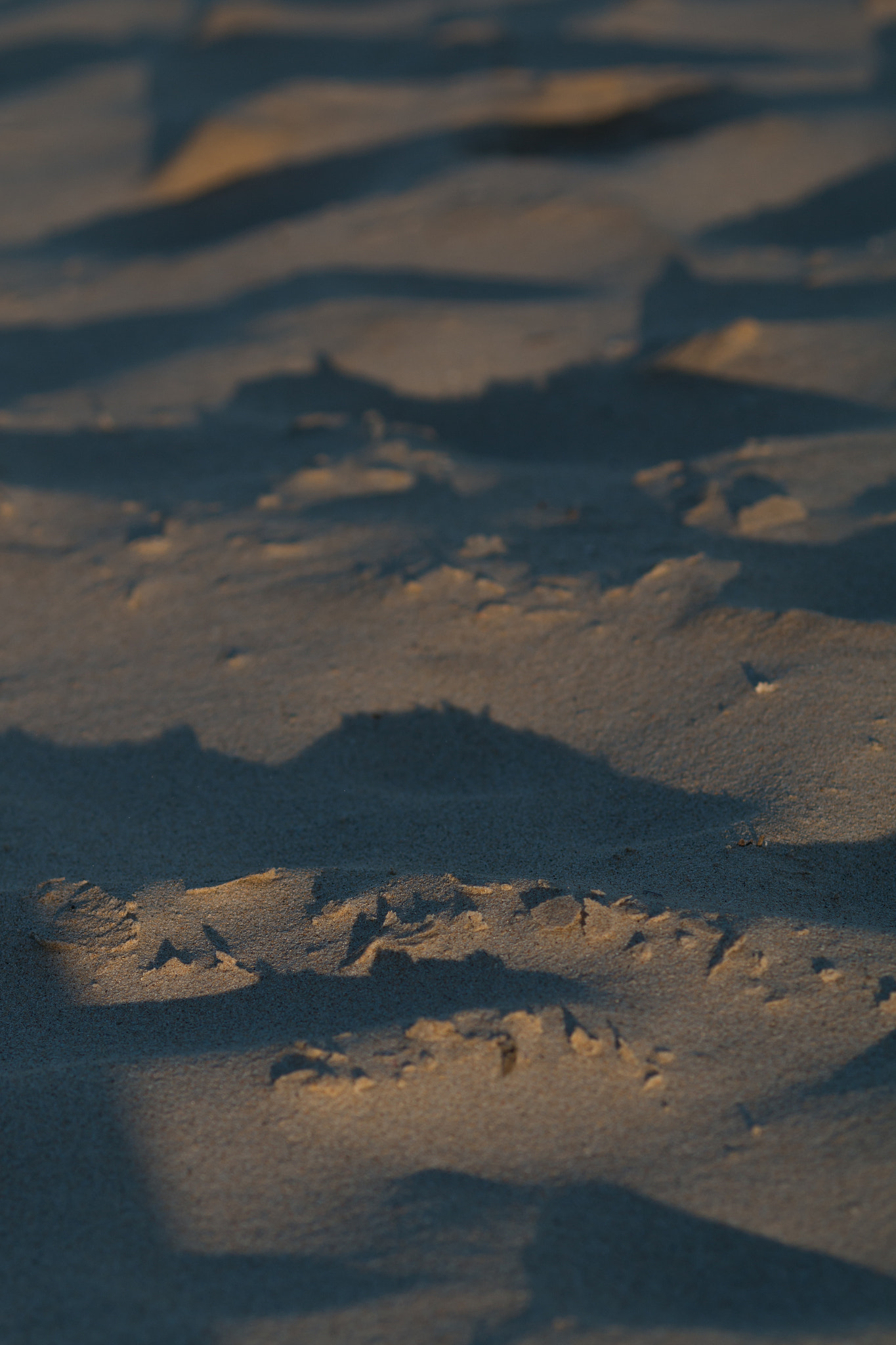 Canon EOS 70D sample photo. Tiny sand hills photography