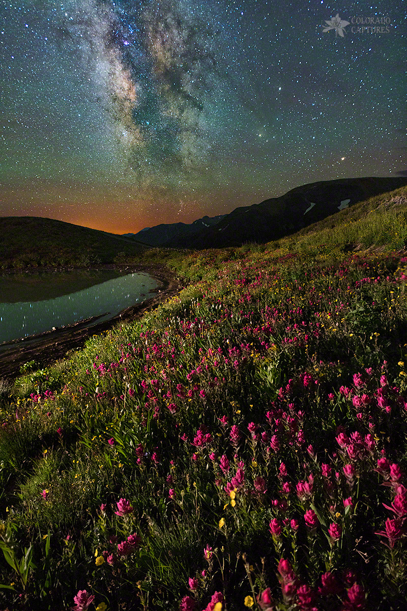 Sony a7R II sample photo. Wildflower milky way reflection photography