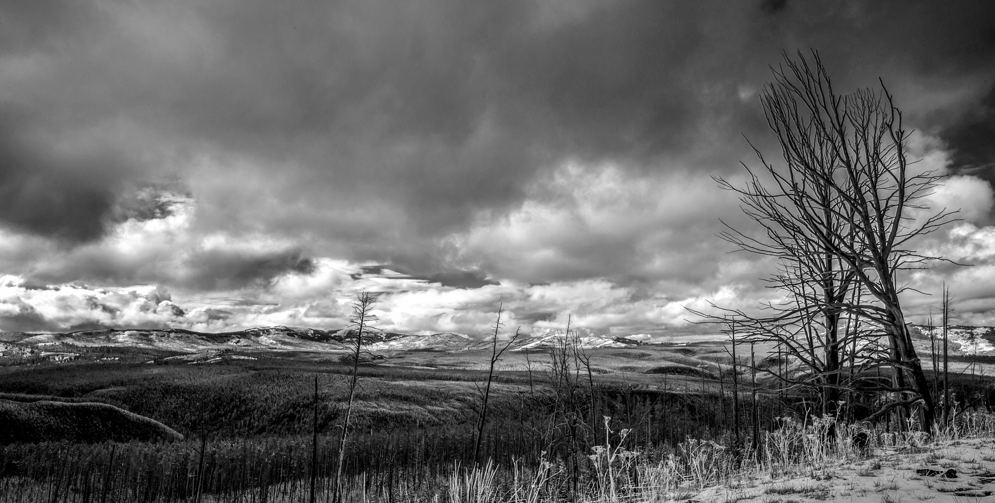 Nikon Df + Nikon AF Nikkor 24mm F2.8D sample photo. Snow mountain at yellowstone photography