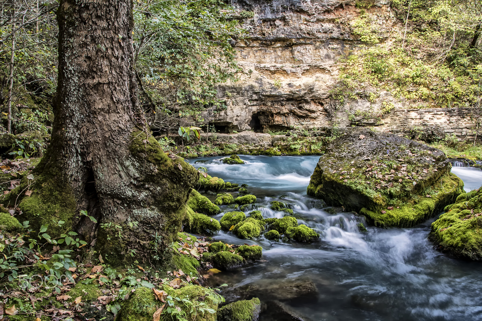 Sigma 18-250mm F3.5-6.3 DC OS HSM sample photo. Big springs photography