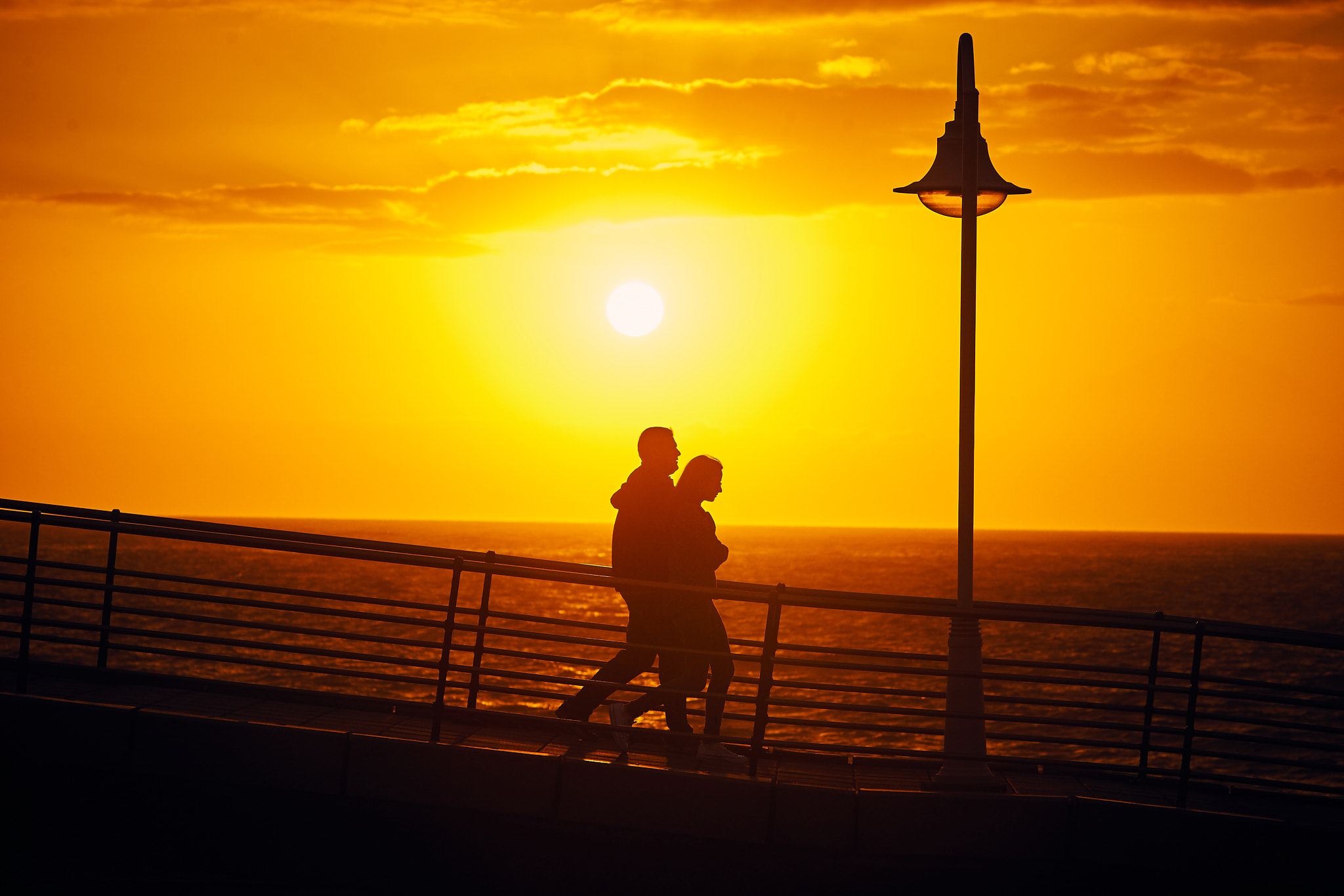 Canon EOS-1D Mark III sample photo. Buscando el sol photography