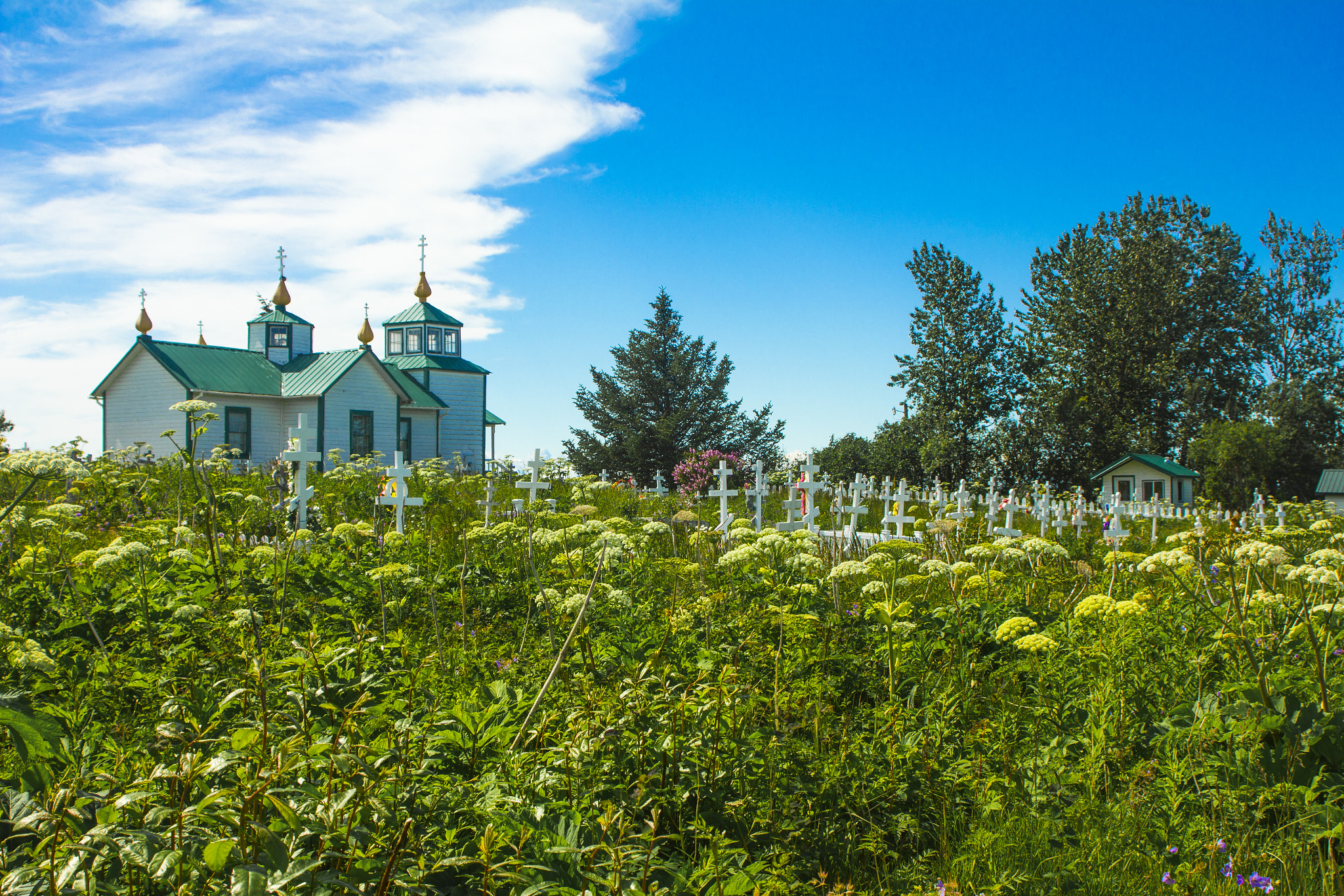 Canon EOS 550D (EOS Rebel T2i / EOS Kiss X4) sample photo. The old church photography
