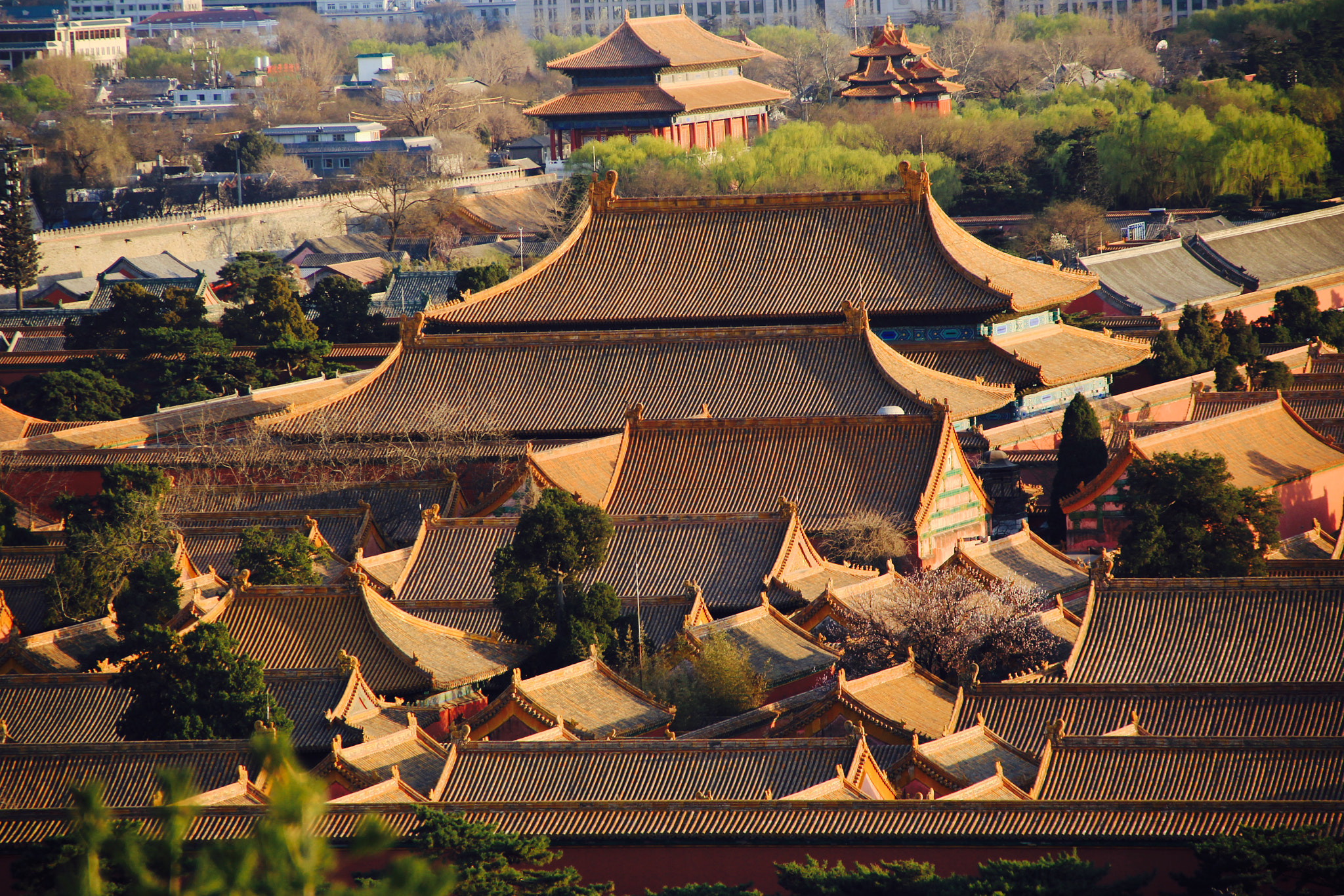 Canon EOS 60D sample photo. The yellow roofs of the forbidden city photography