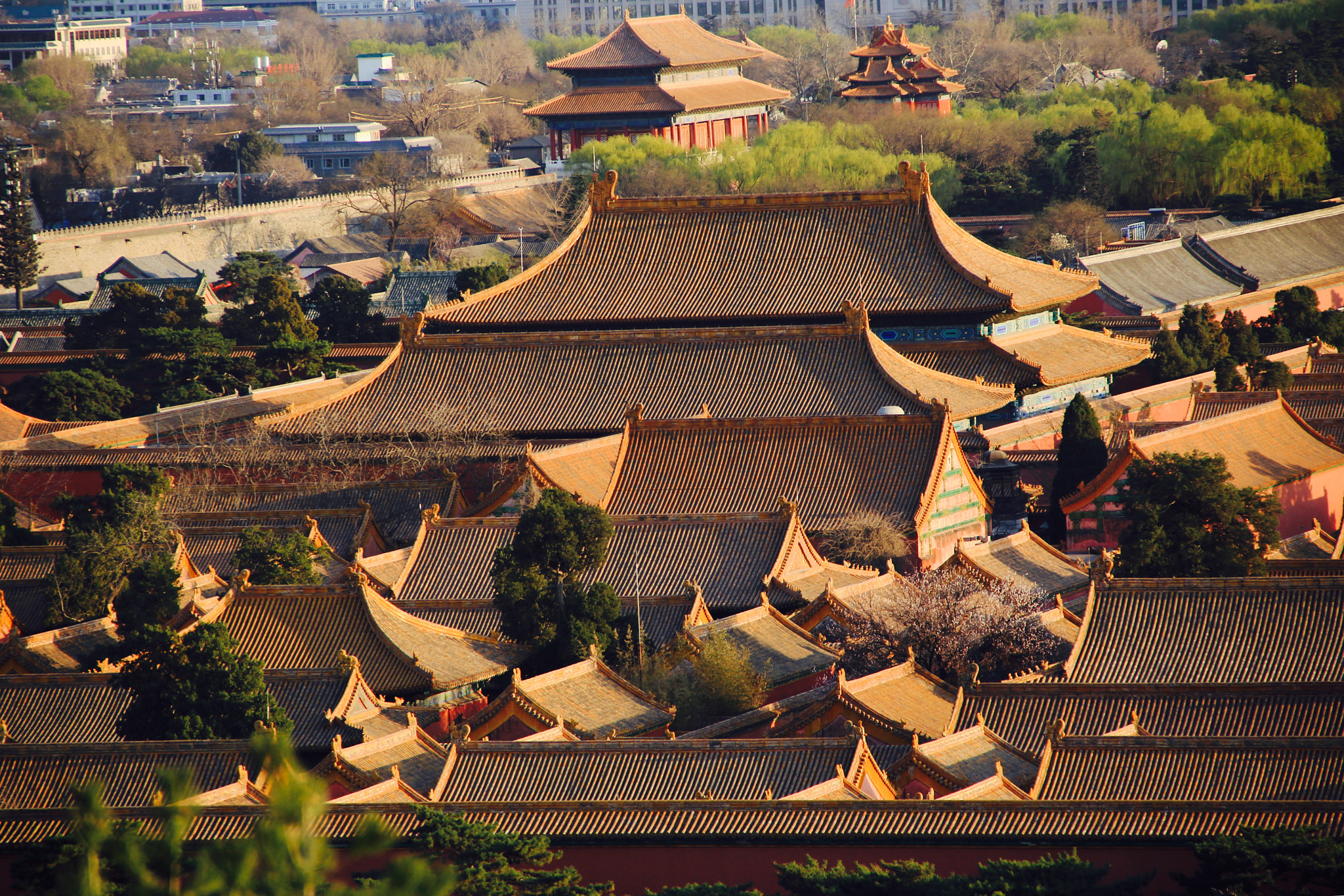 Canon EF-S 18-135mm F3.5-5.6 IS sample photo. The yellow roofs of the forbidden city photography