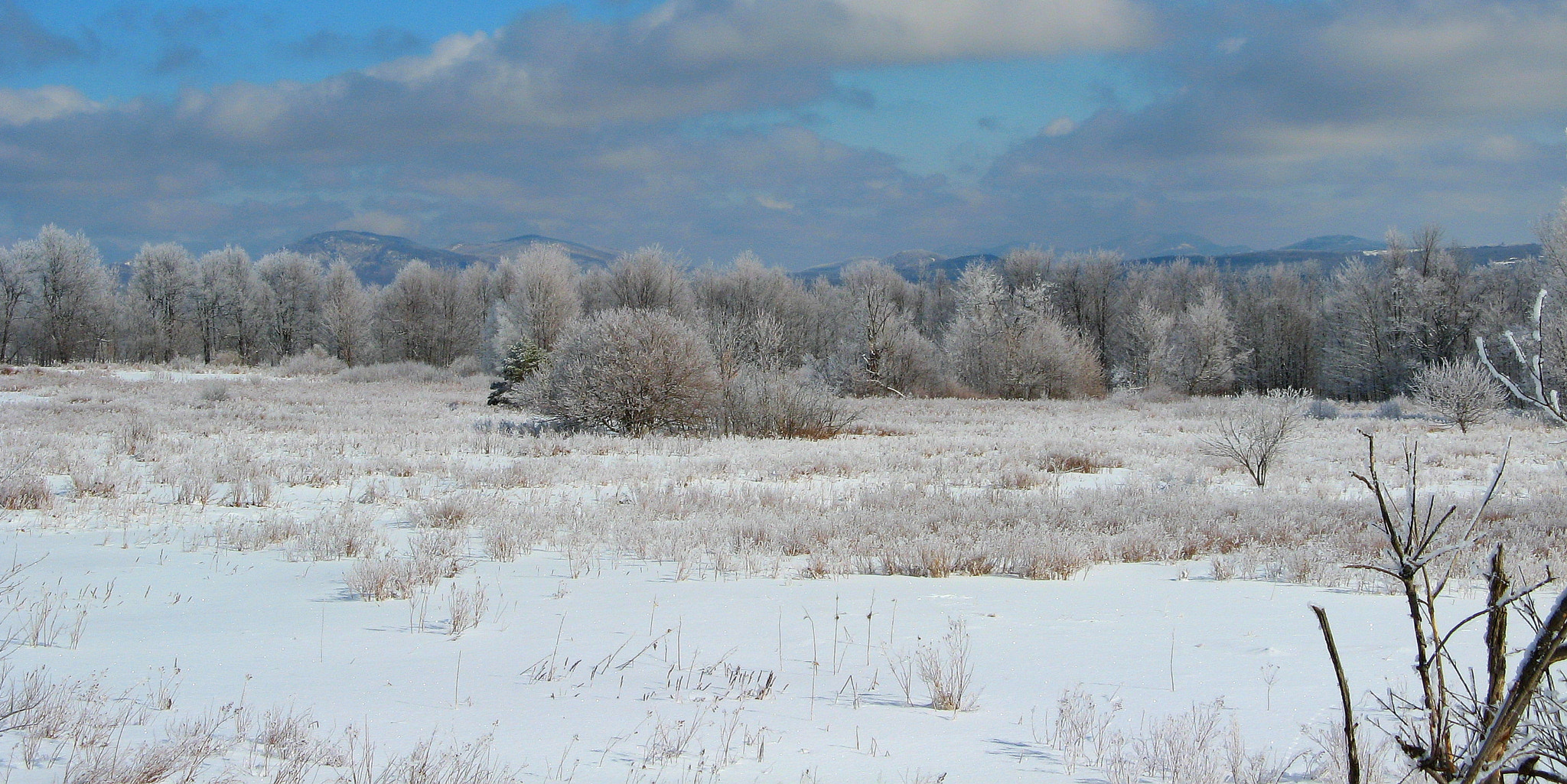 Canon POWERSHOT A710 IS sample photo. Snowscape photography