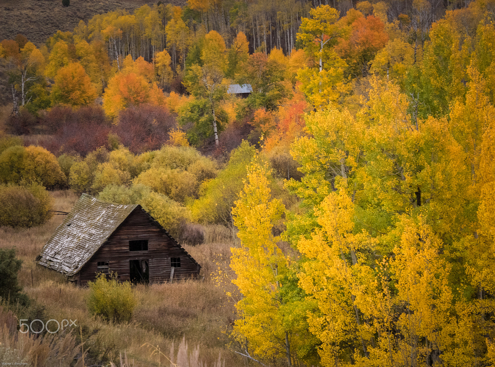 Olympus OM-D E-M1 sample photo. Abandoned barn photography