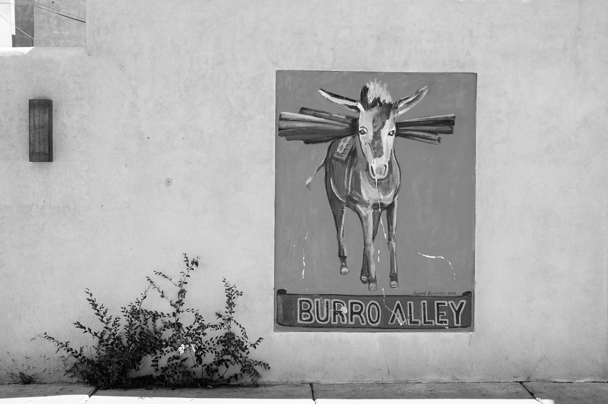 Nikon AF Micro-Nikkor 60mm F2.8D sample photo. Burro alley photography