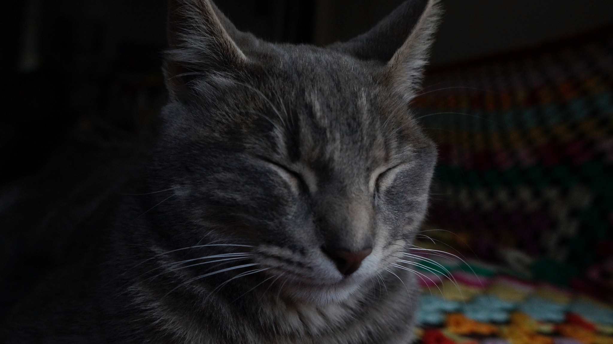 Tamron 18-200mm F3.5-6.3 Di III VC sample photo. Mandiolo photography