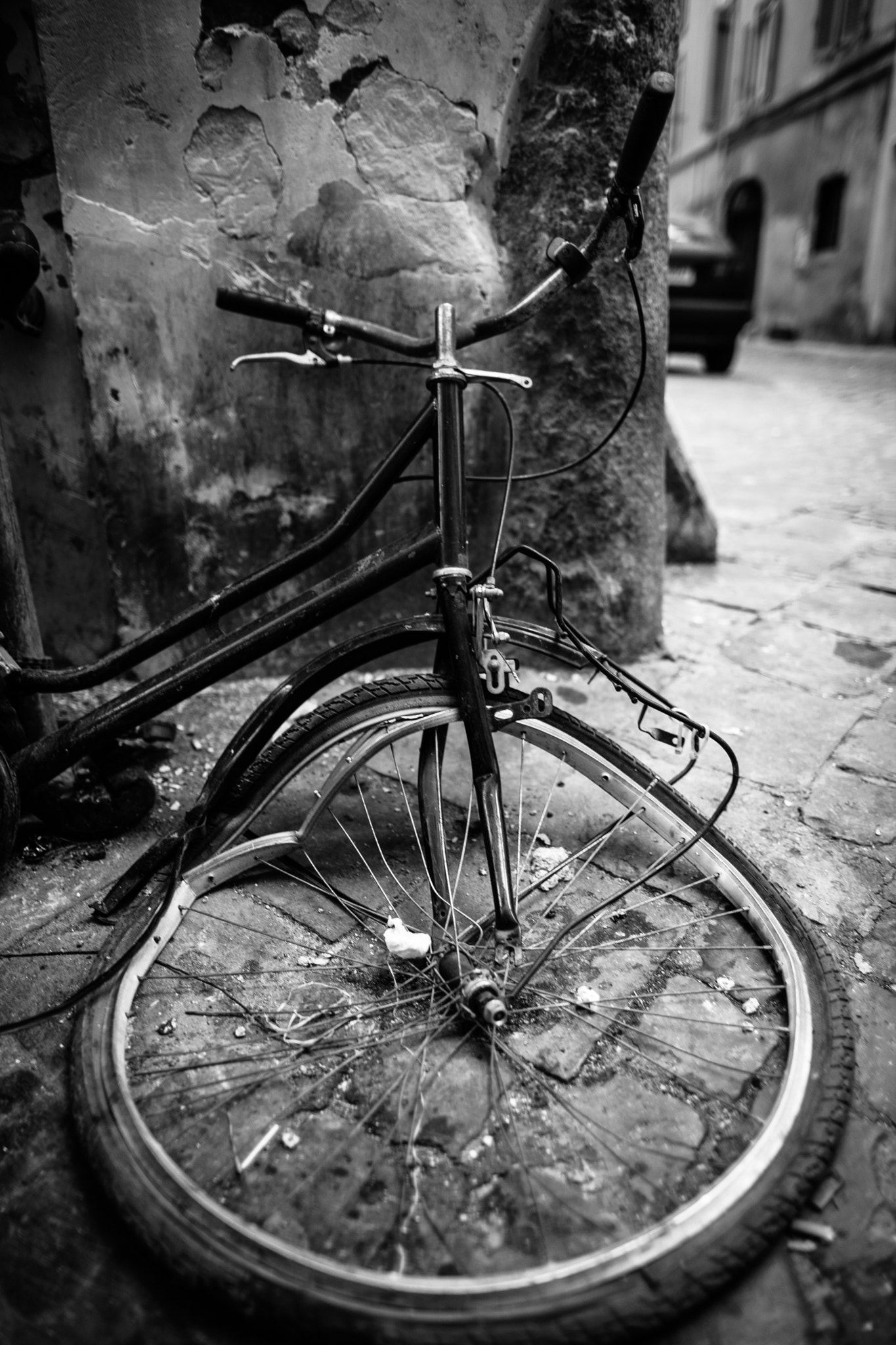 Canon EF 24mm F1.4L II USM sample photo. 29993875452.jpg photography