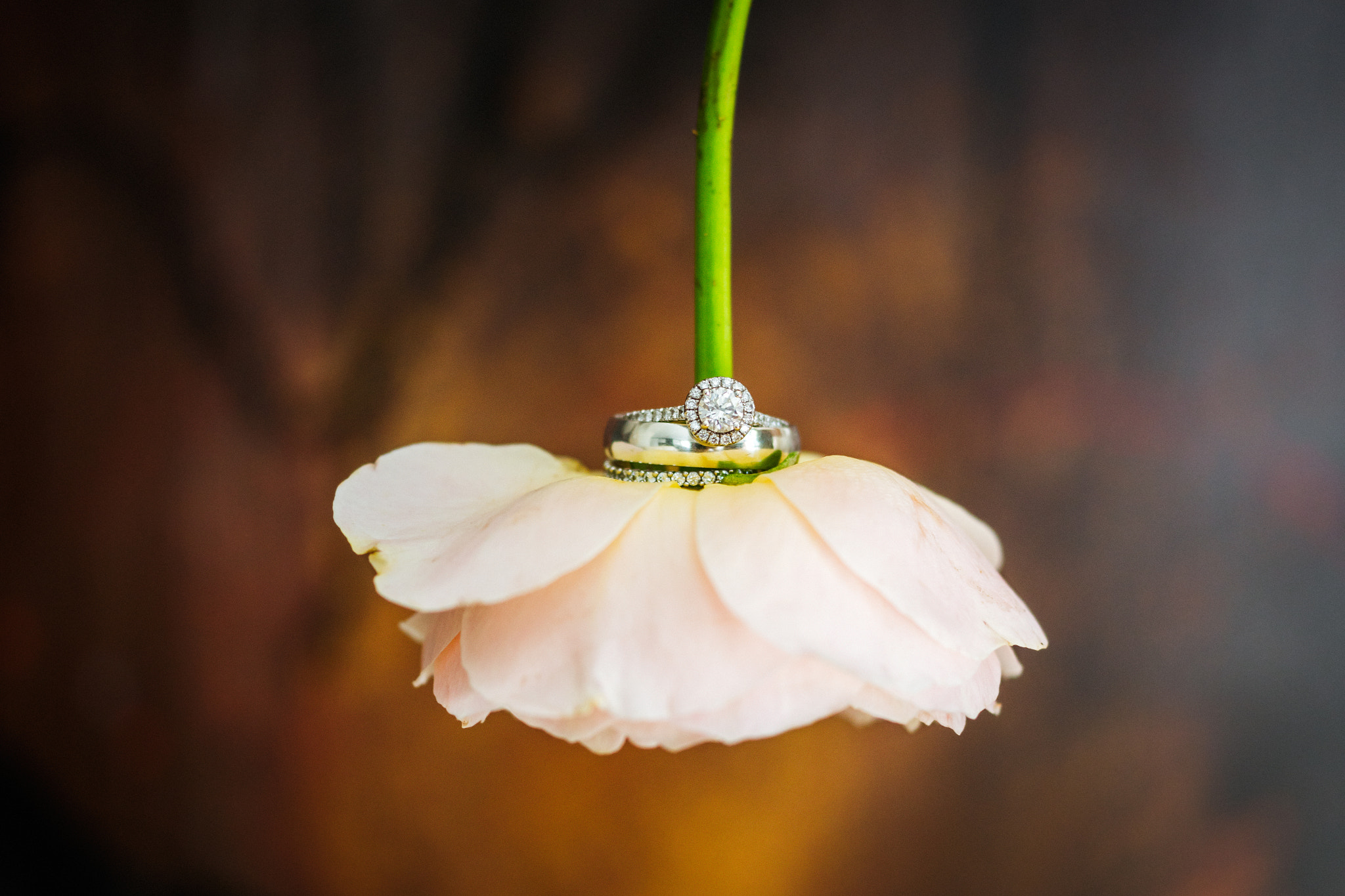 Sony a7R II + Sony 50mm F2.8 Macro sample photo. Wedding rings photography