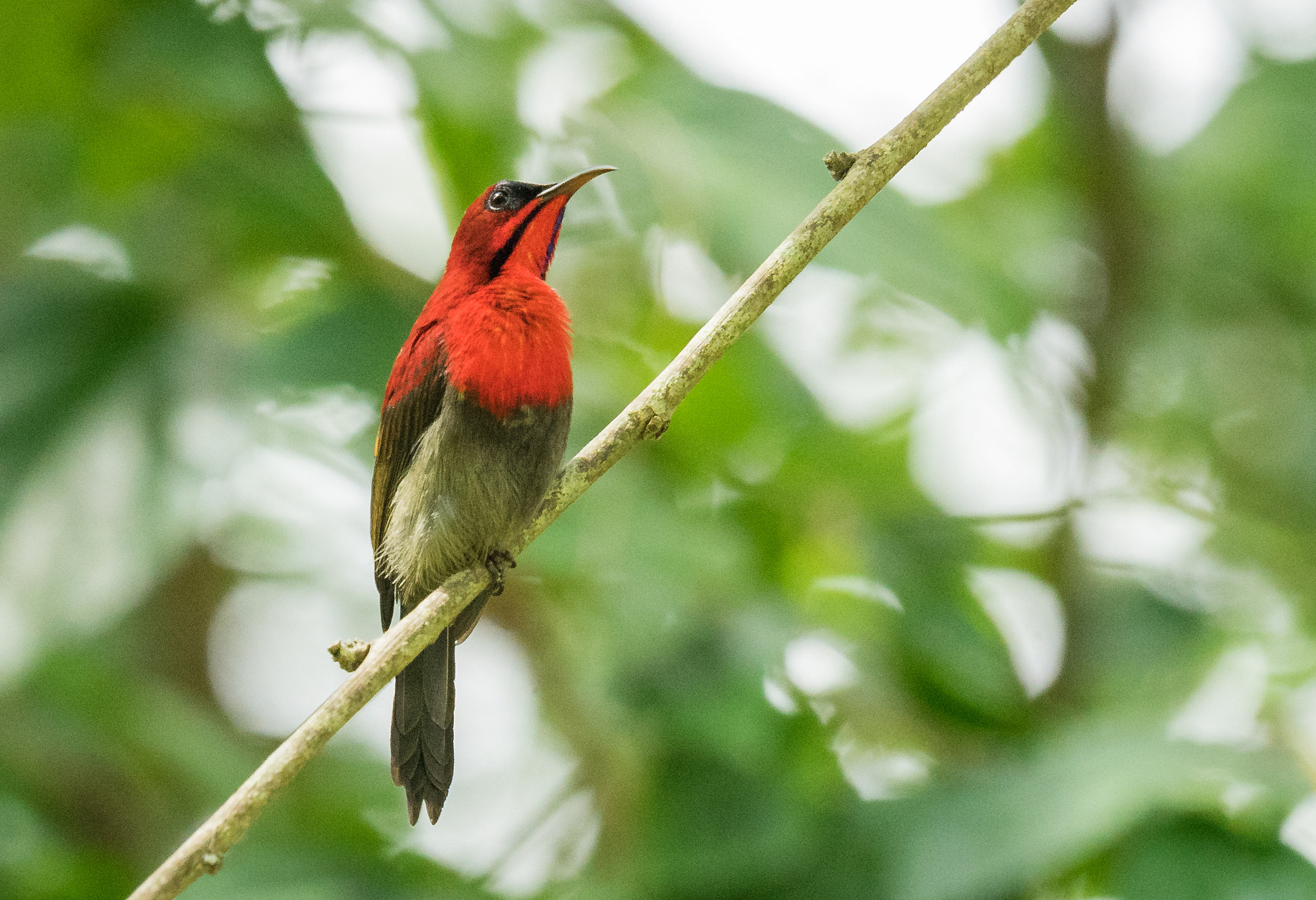Sony 70-400mm F4-5.6 G SSM II sample photo