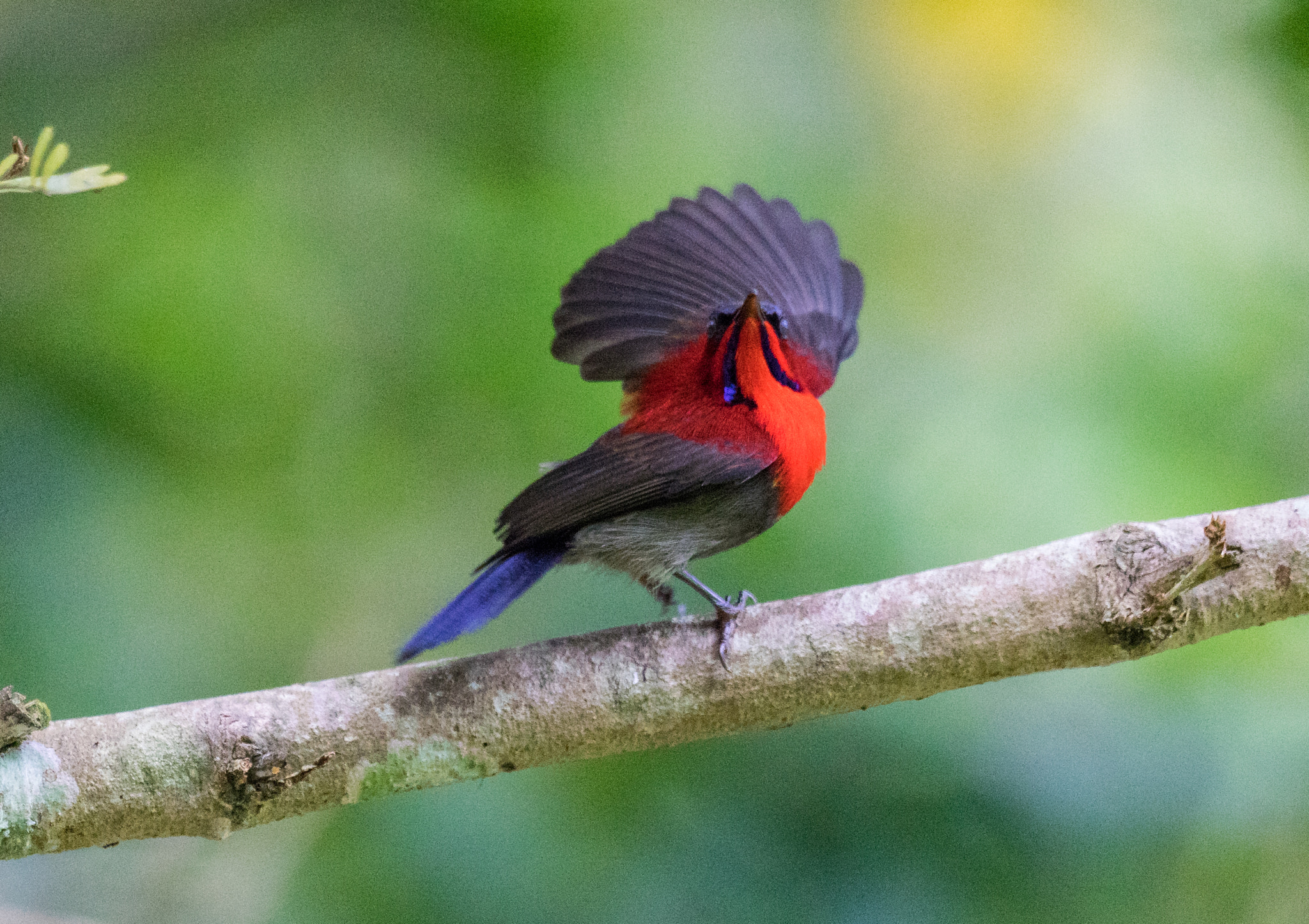 Sony 70-400mm F4-5.6 G SSM II sample photo