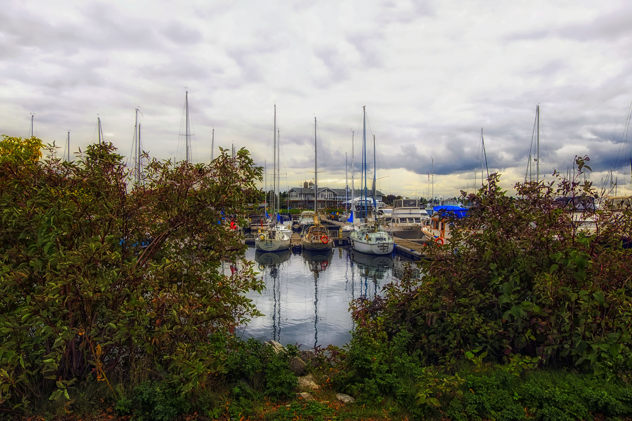 Fujifilm XC 16-50mm F3.5-5.6 OIS sample photo. Watercolor photography
