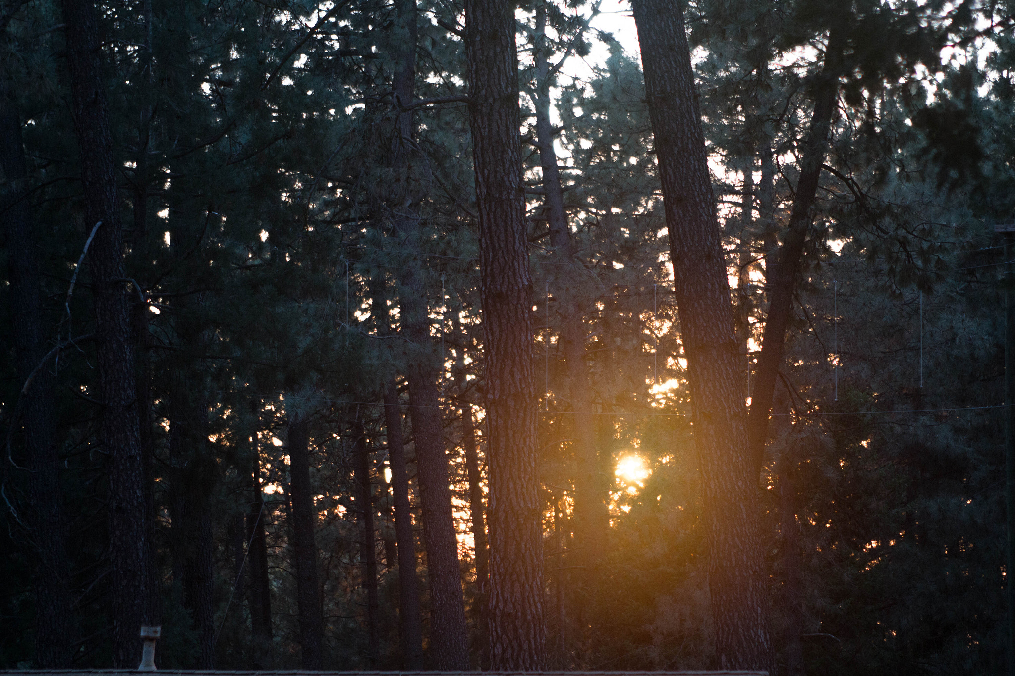 EF28-70mm f/2.8L USM sample photo. Sunset lovers photography