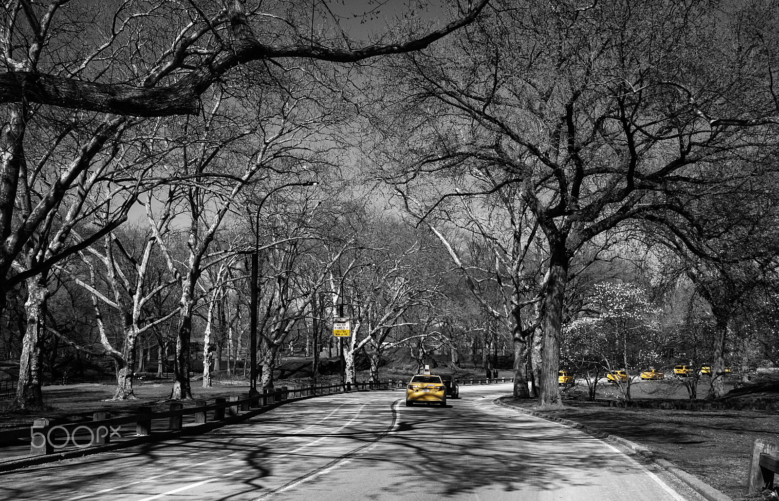Canon EOS 1000D (EOS Digital Rebel XS / EOS Kiss F) sample photo. Yellow cabs new york city photography