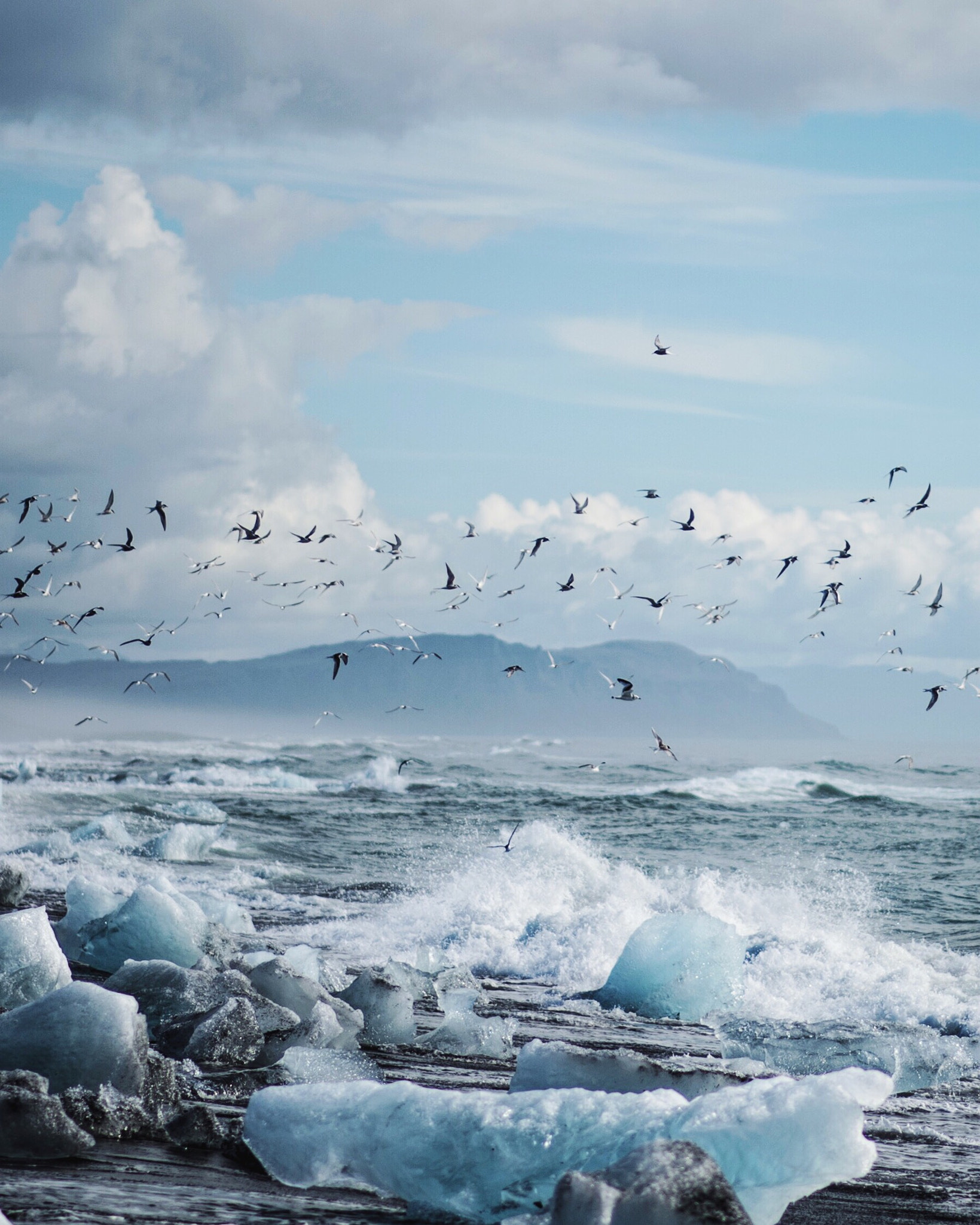 Nikon D4 + Nikon AF-S Nikkor 85mm F1.8G sample photo. North atlantic. jokulsarlon glacier lagoon. iceland. photography
