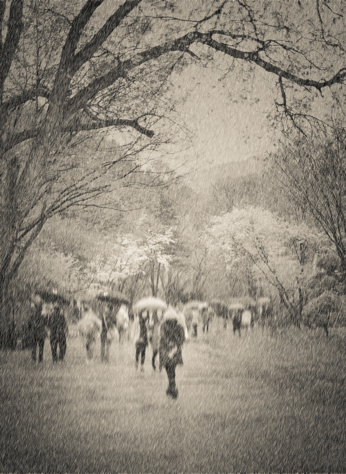 AF Zoom-Nikkor 28-100mm f/3.5-5.6G sample photo. Mood rainy day photography