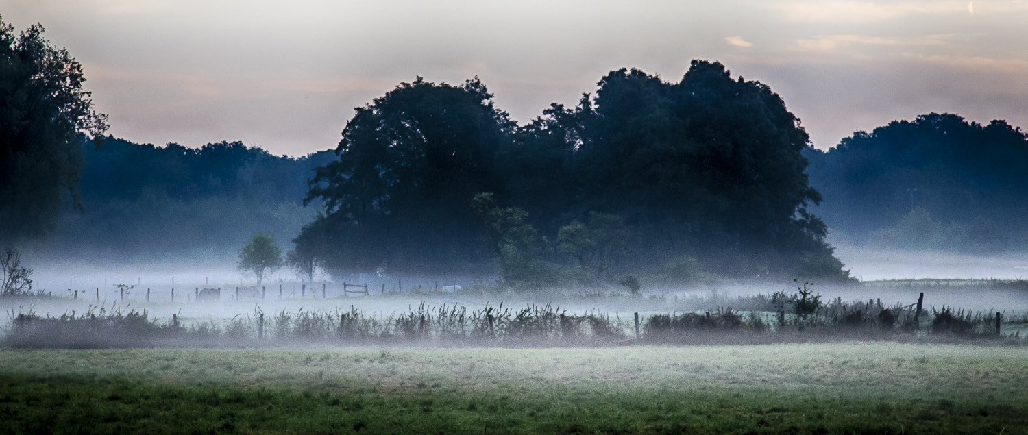 Canon EOS-1D Mark IV sample photo. Niersaue im nebel  photography