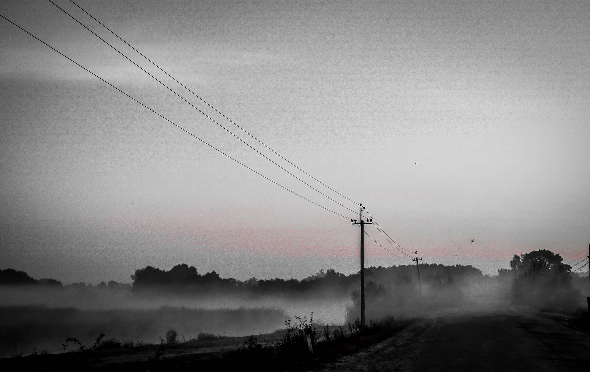 Panasonic Lumix DMC-G6 sample photo. Road to silent hill photography