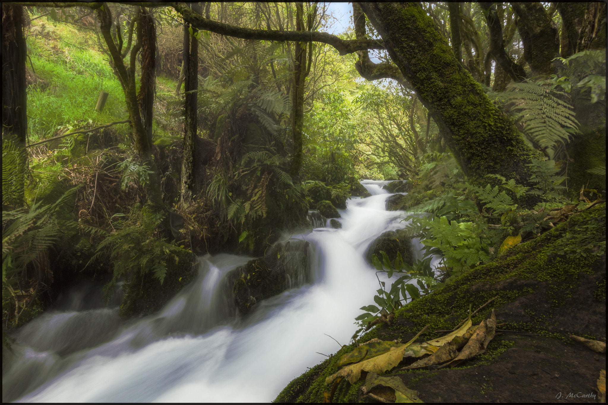 Canon EF-S 10-22mm F3.5-4.5 USM sample photo. Blue springs, new zealand photography