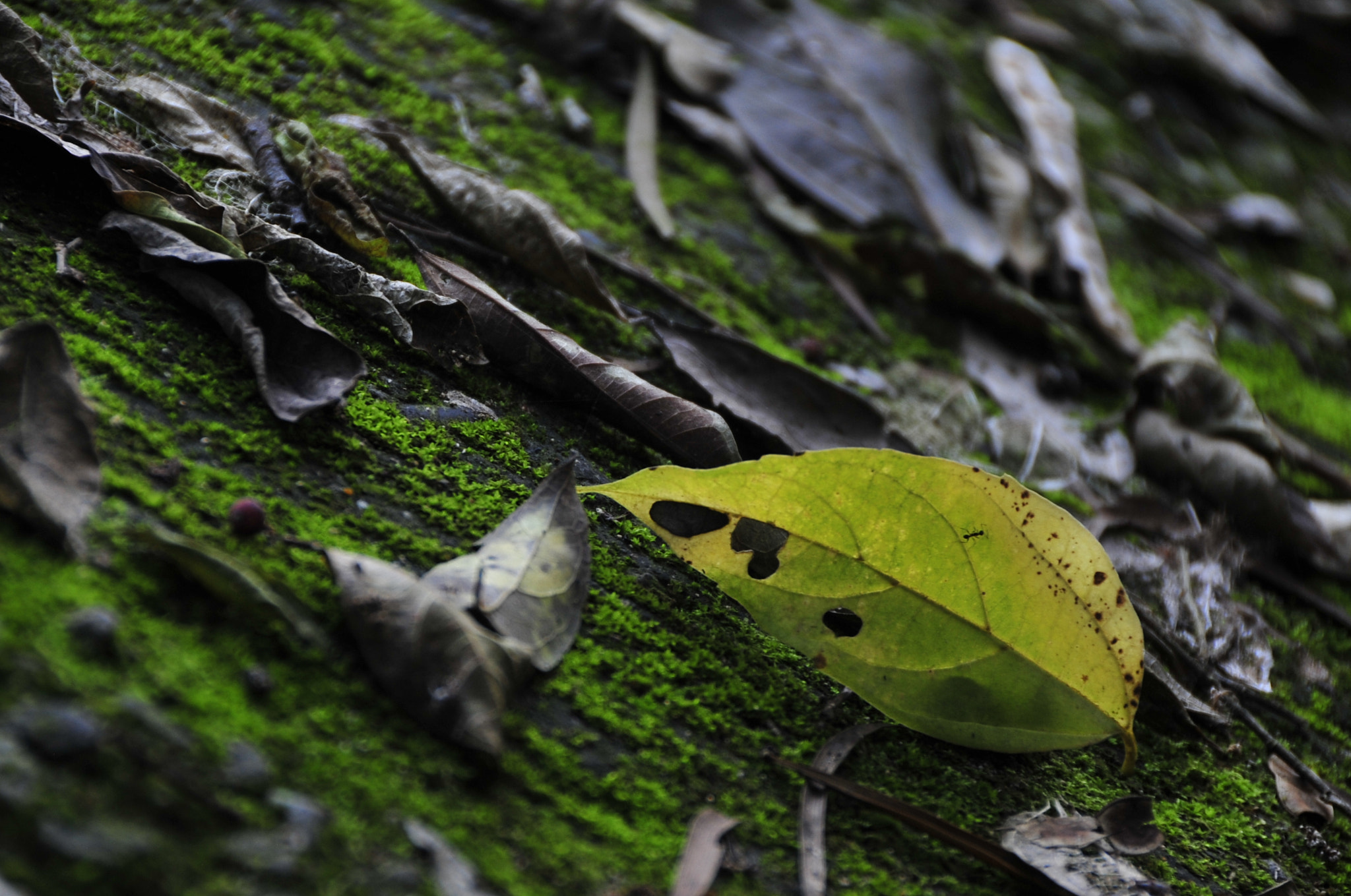 Nikon D3 sample photo. .. photography