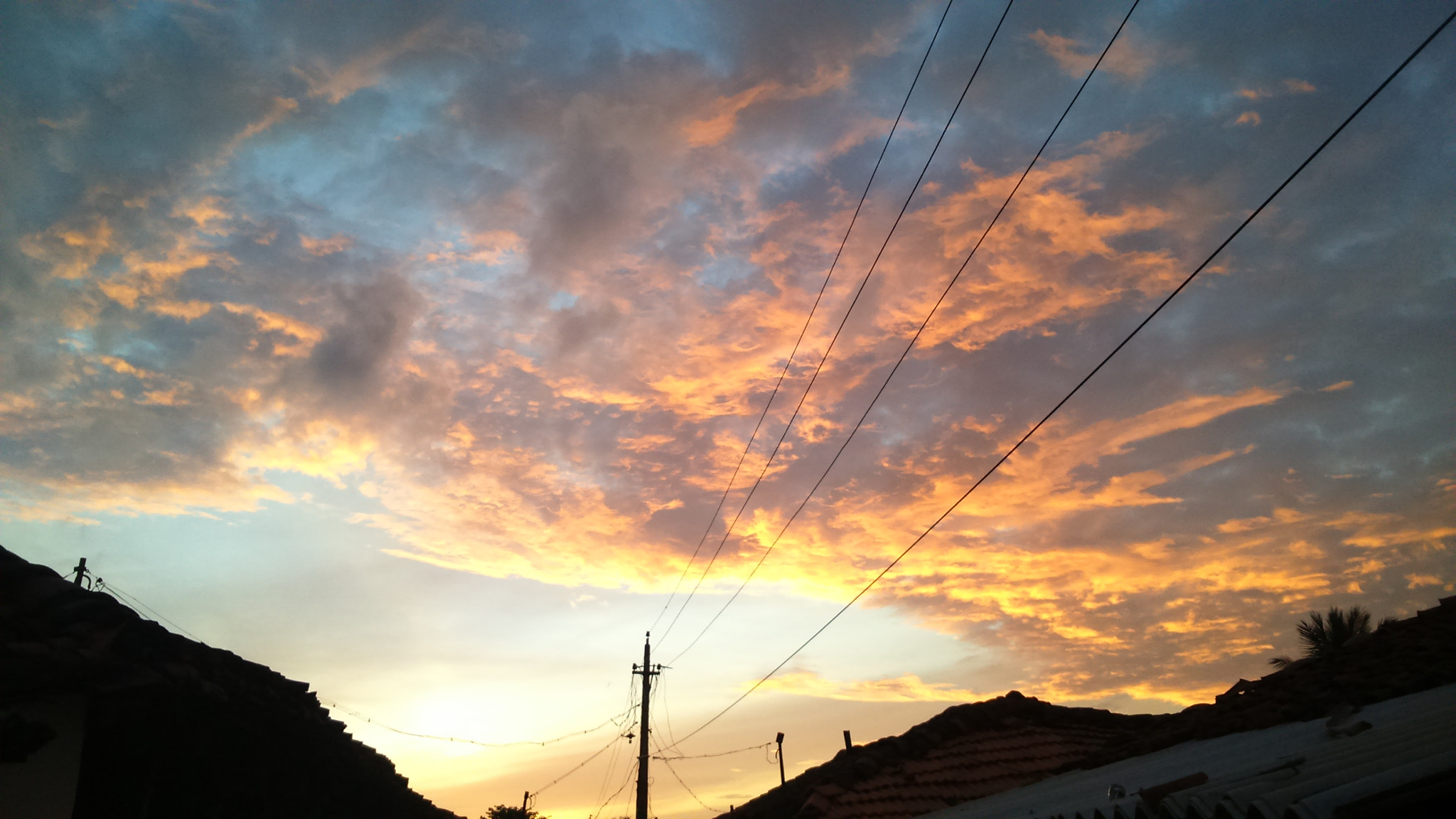 Sony Xperia M2 sample photo. Its a mobile click... photography