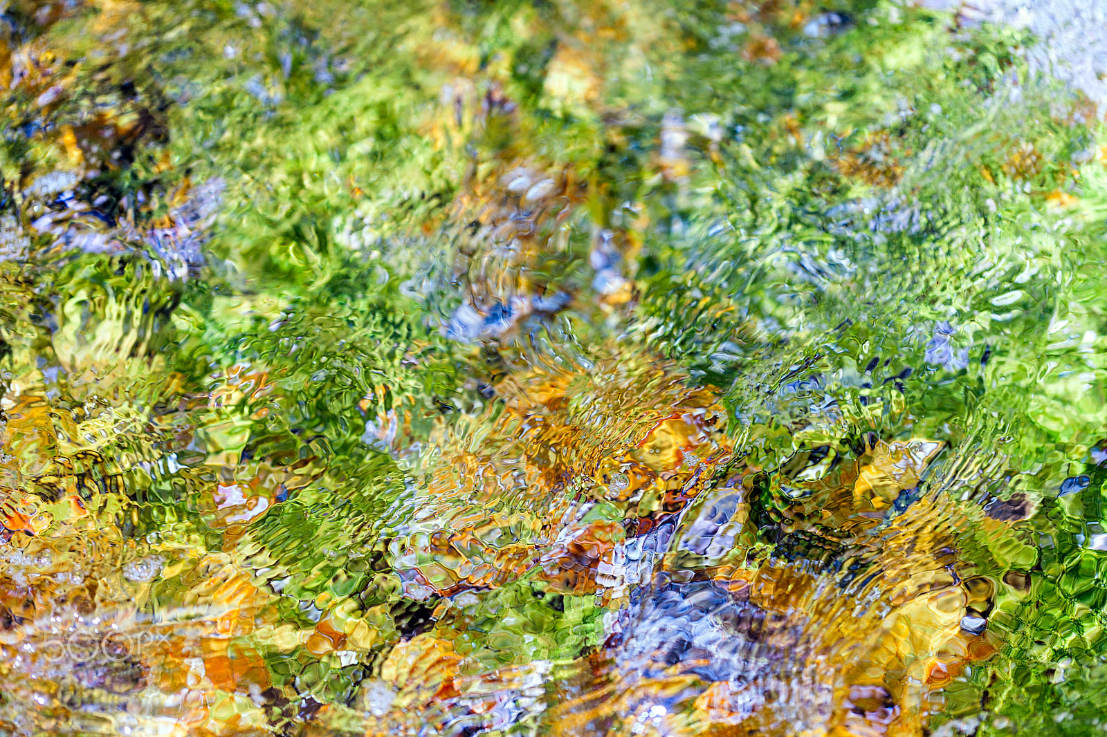 Canon EF 100mm F2.8L Macro IS USM sample photo. Bright colored stones from bottom of sea photography