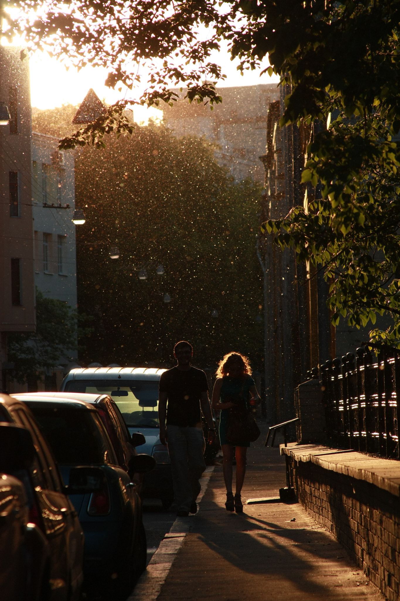 Canon EF 28-135mm F3.5-5.6 IS USM sample photo. Img photography