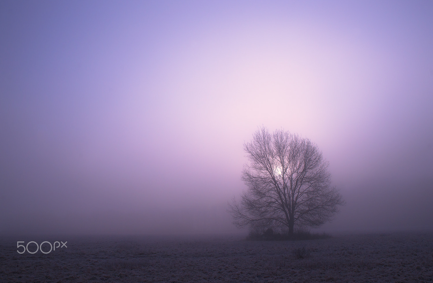 Sony Alpha DSLR-A900 + Tamron SP 24-70mm F2.8 Di VC USD sample photo. Dreamy morning photography