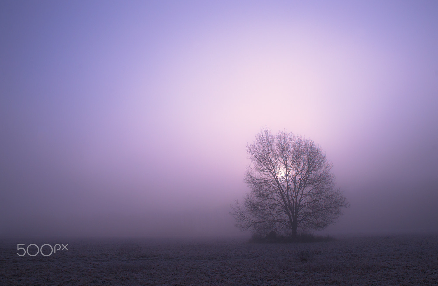 Sony Alpha DSLR-A900 sample photo. Dreamy morning photography