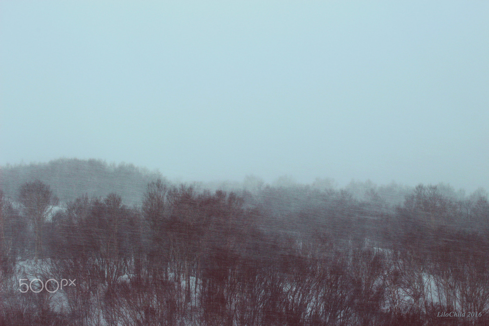 Tamron SP 35mm F1.8 Di VC USD sample photo. Snowstorm photography