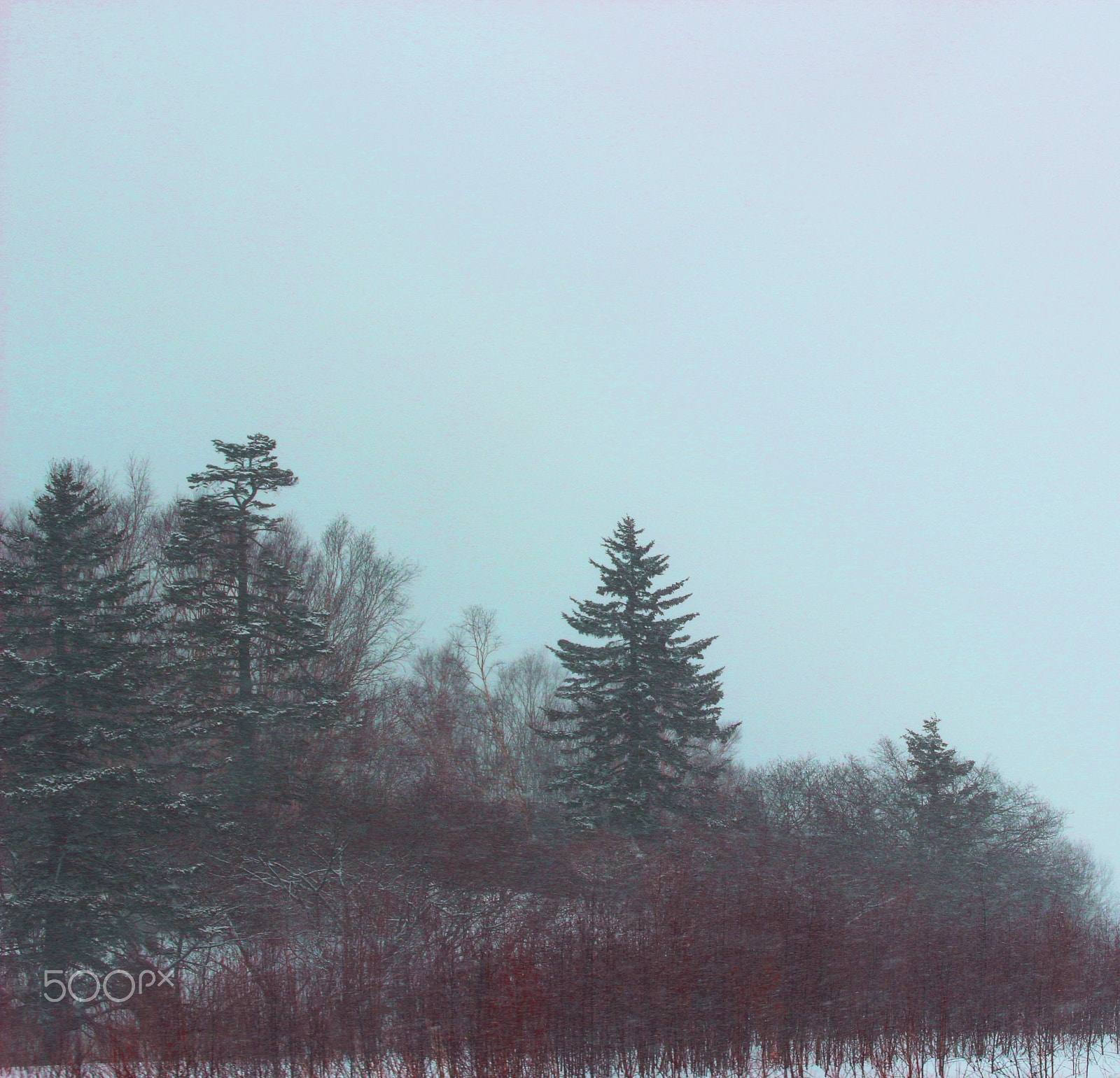 Tamron SP 35mm F1.8 Di VC USD sample photo. Img photography