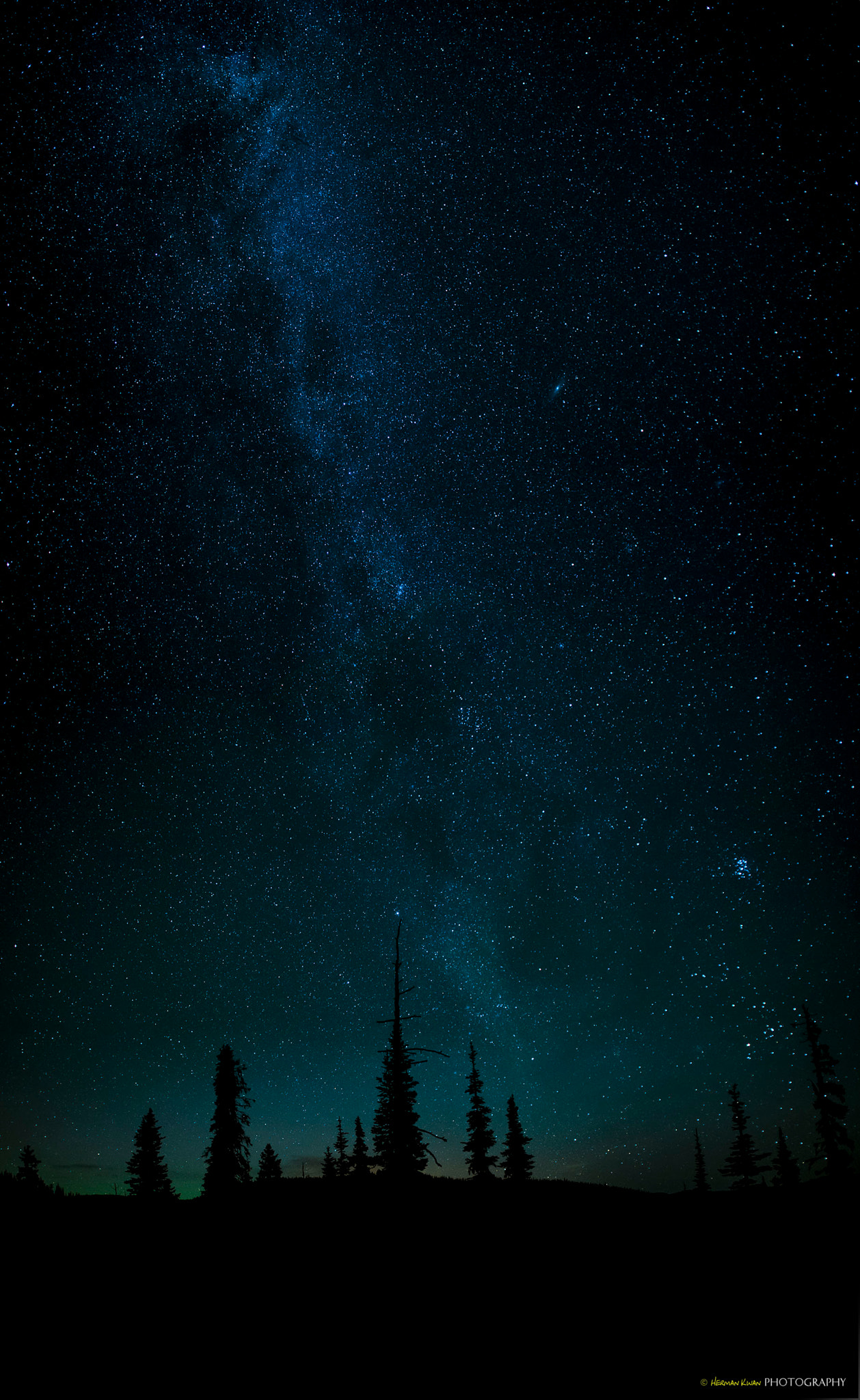 Nikon AF-S Nikkor 24mm F1.4G ED sample photo. Milky way @ manning park b.c. photography