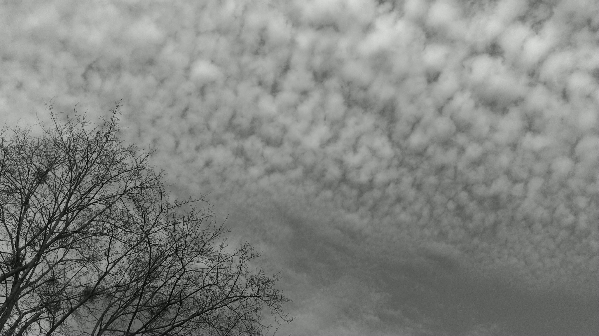 ASUS T00F sample photo. Grey skies photography