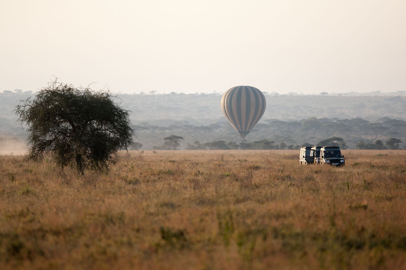 Canon EOS-1D Mark III sample photo. Landscapes of serengeti №15 photography