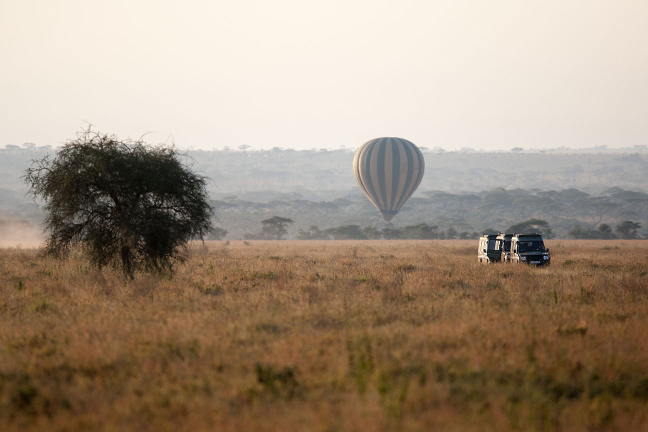Canon EF 300mm F2.8L IS USM sample photo. Landscapes of serengeti №15 photography