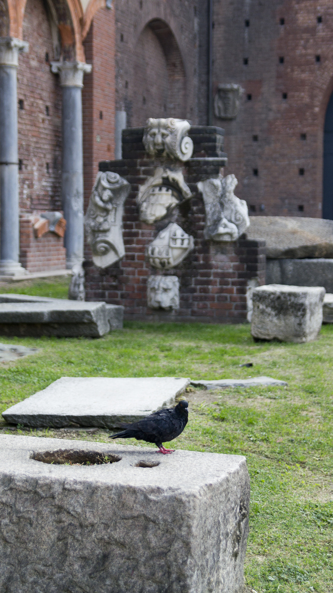 Sony Alpha DSLR-A580 + Sony 28-75mm F2.8 SAM sample photo. Sforza castle photography